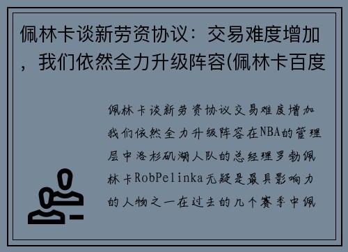 佩林卡谈新劳资协议：交易难度增加，我们依然全力升级阵容(佩林卡百度百科)