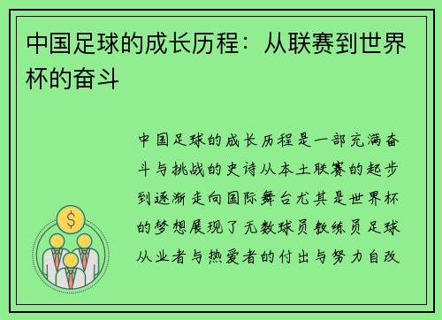 中国足球的成长历程：从联赛到世界杯的奋斗