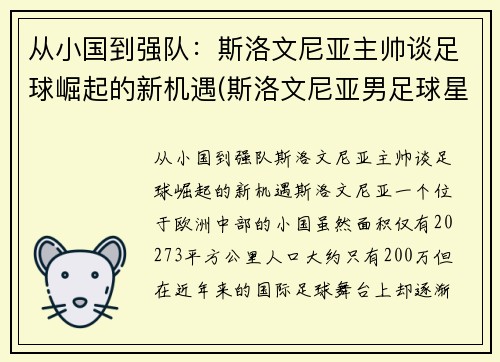 从小国到强队：斯洛文尼亚主帅谈足球崛起的新机遇(斯洛文尼亚男足球星)